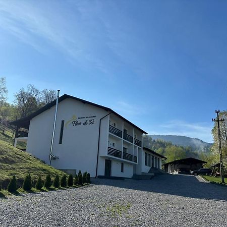 Flori De Tei Maramures Săcel Zewnętrze zdjęcie