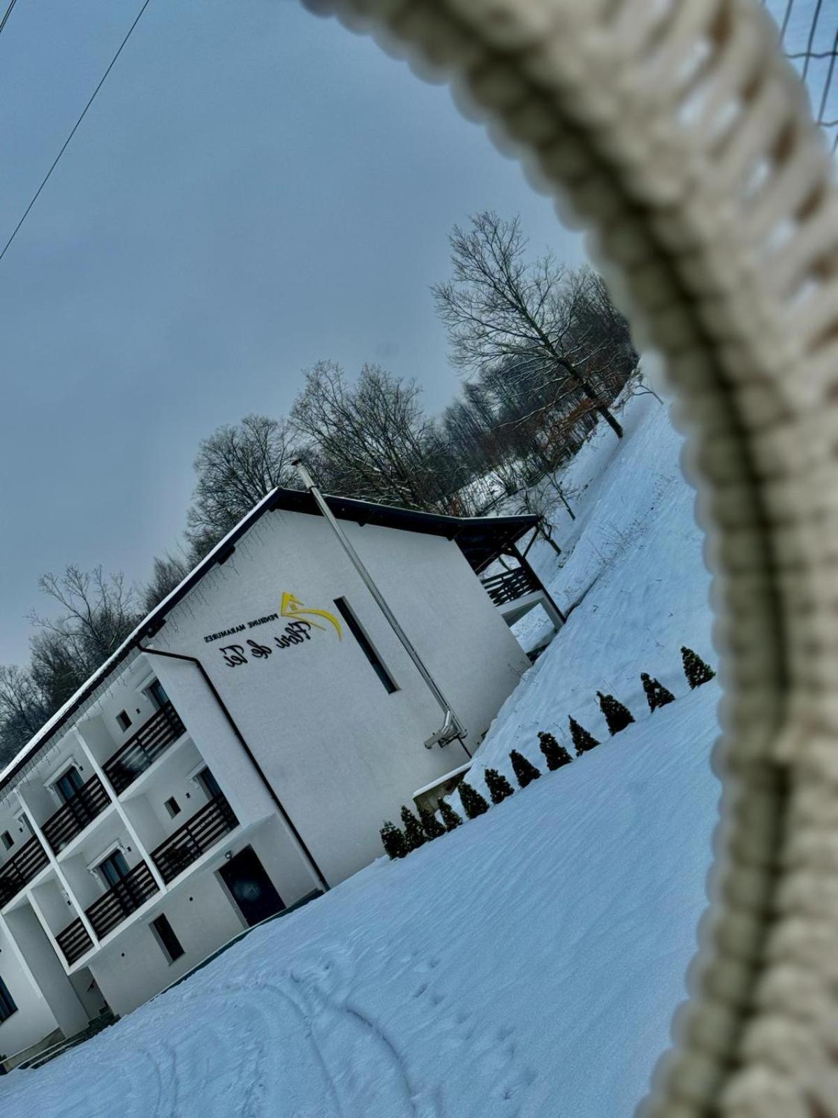 Flori De Tei Maramures Săcel Zewnętrze zdjęcie