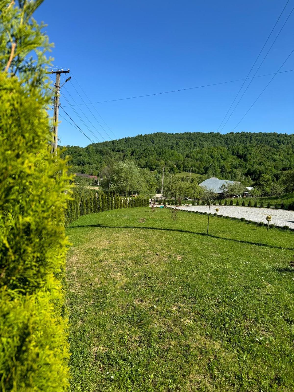Flori De Tei Maramures Săcel Zewnętrze zdjęcie